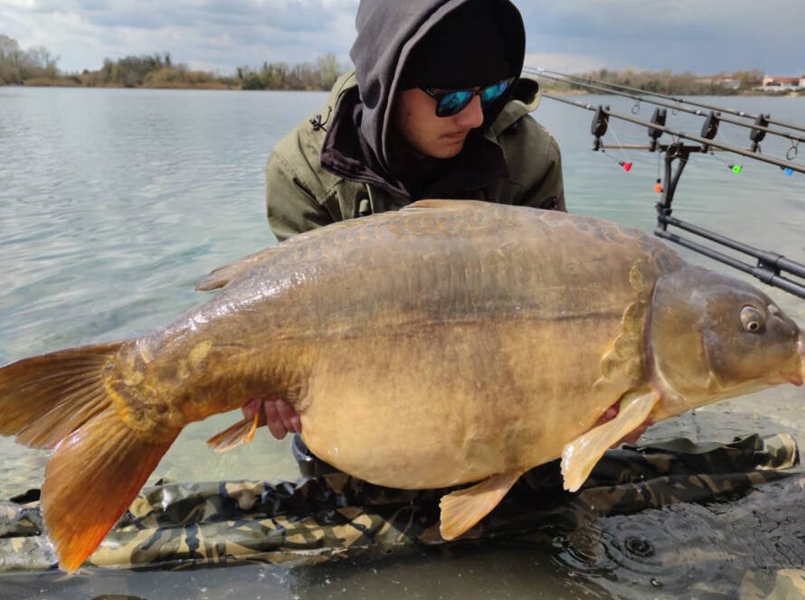 Pescatore con una grande carpa sostenuta sopra il materassino in riva al lago.