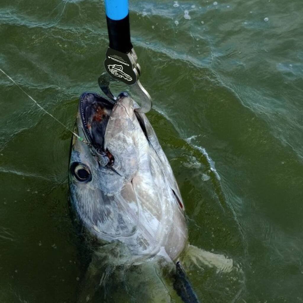 tonno pescato in mare con boga grip Morgana Fishing durante pesca sportiva