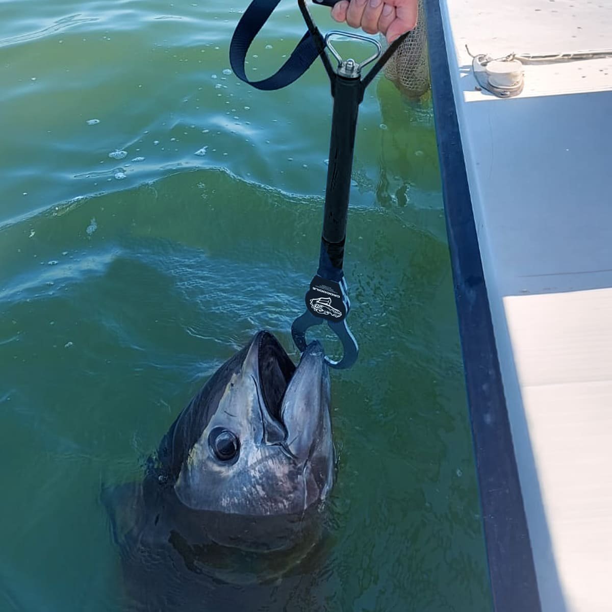 boga-grip-morgana-fishing-tonno-pesca-mare tonno pescato in mare con boga grip Morgana Fishing