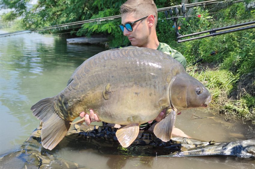 Pescatore con una grossa carpa, con Rod Pod Morgana visibili sullo sfondo.