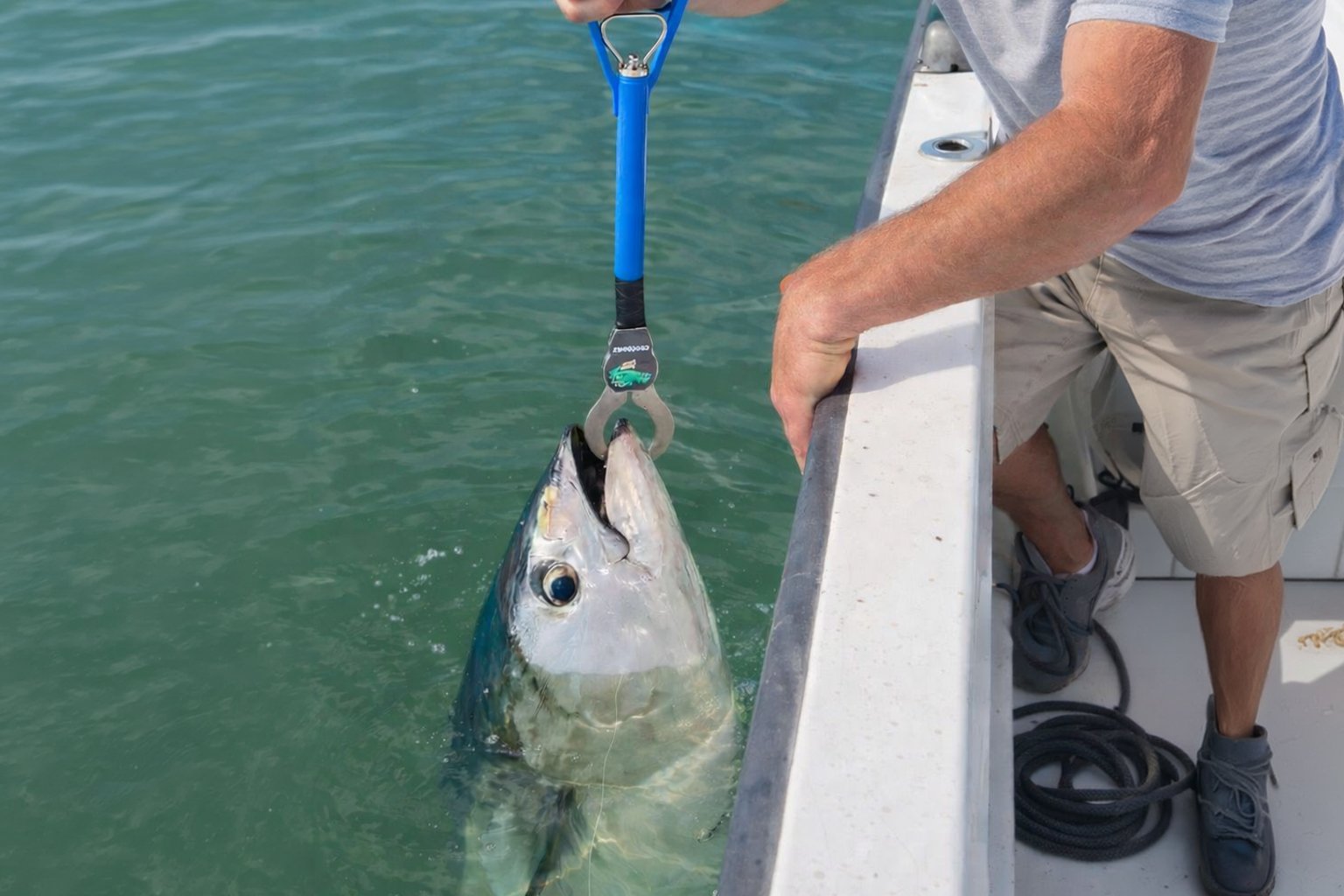 boga grip Morgana Fishing utilizzato per sollevare un tonno dalla barca durante la pesca in mare