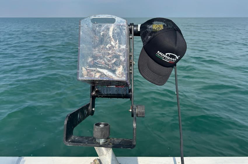 getta sarde Pollicino Morgana Fishing montato sulla barca con sardine per la pasturazione automatica nella pesca al tonno